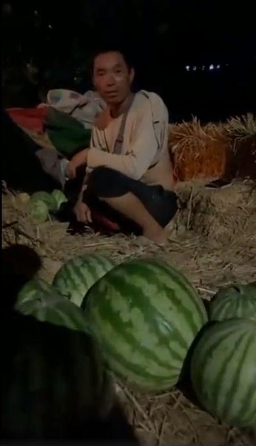 梦见自已吃瓜被人打,瓜田风波，揭秘梦中吃瓜被打的深层寓意